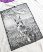 リンガー天竺　5分袖Tシャツ(プリント)
