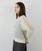 Sheer Pullover