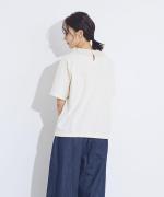 ドライコットン天竺 メッシュフリル衿T