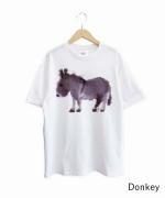 T-Shirt - Bear/Donkey/Tiger